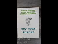 Под един покрив	Дамян Дамянов, Райна Дамянова, Надежда Захар