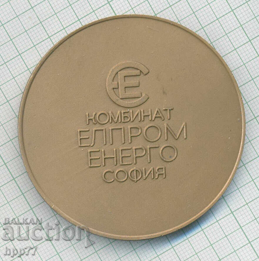 Rare plaque from the Kolarov High-Voltage Plant with price € 11.00 | 21.51 BGN