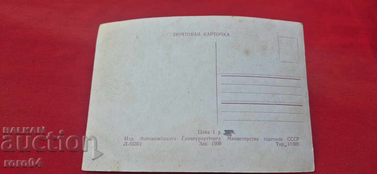 FROM ONE EURO - 6