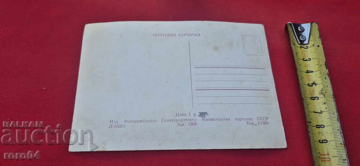 FROM ONE EURO - 7