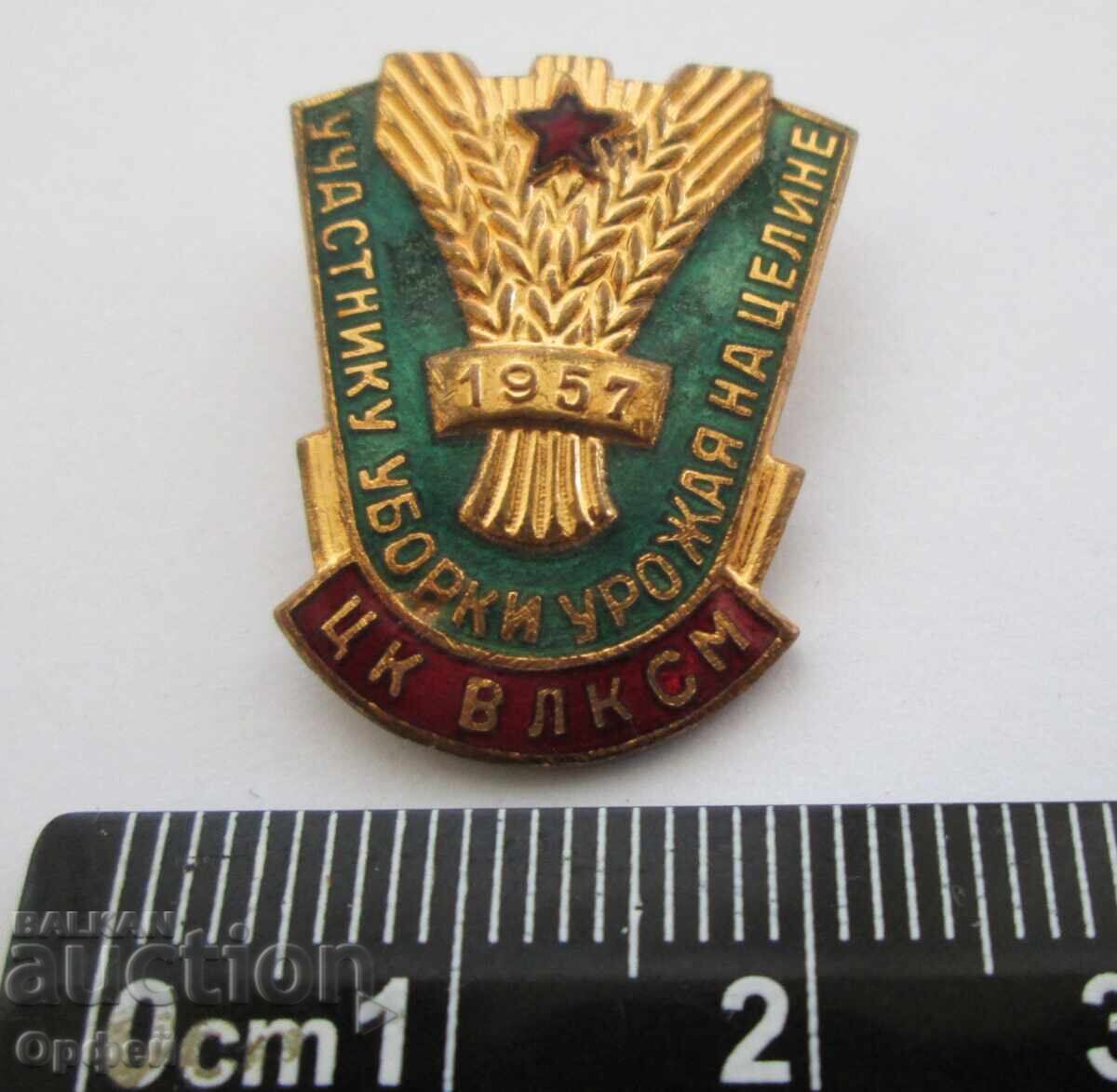 Аукцион Стар Руски СССР знак земеделска значка ЦК ВЛКСМ 1957г