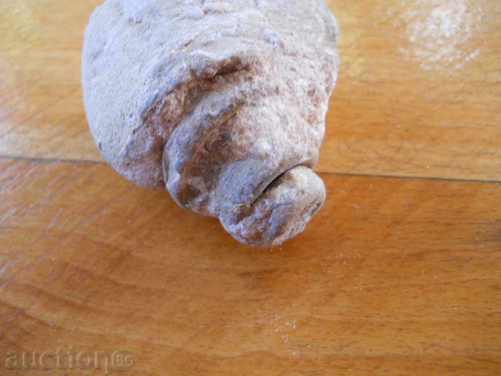 Απολίθωμα με τιμή € 2.20 | 4.30 BGN Απολίθωμα με τιμή € 2.20 | 4.30 BGN