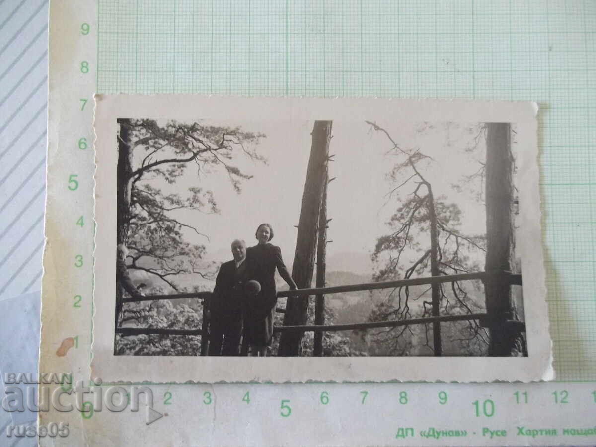 Vintage photo of a family in nature