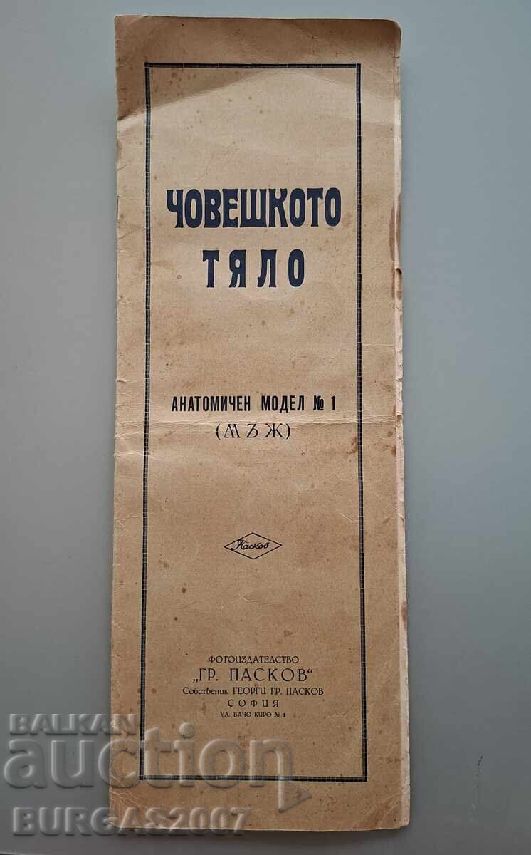 Άτλας "Το ανθρώπινο σώμα", Γρ. Πασκόφ, δεκαετία 1940