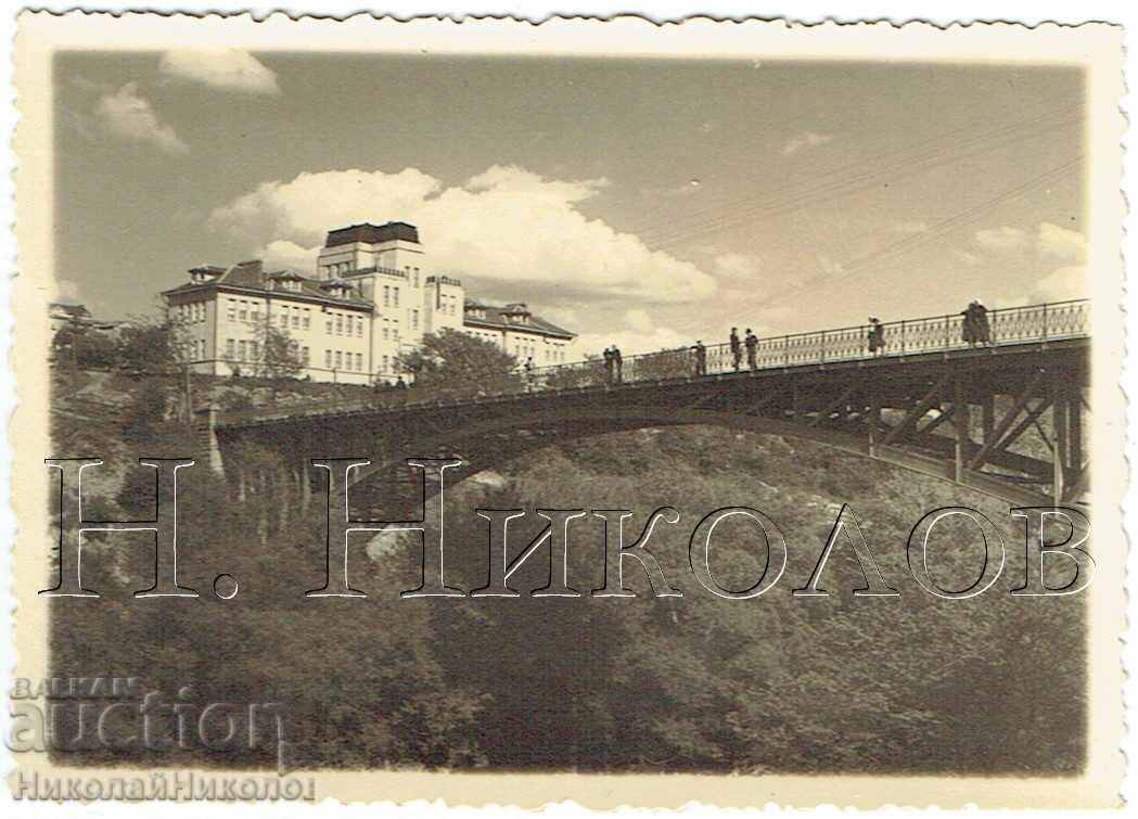 1935 МАЛКА СТАРА СНИМКА В. ТЪРНОВО ВЕТЕРИНАРЕН ИНСТИТУТ Ж730