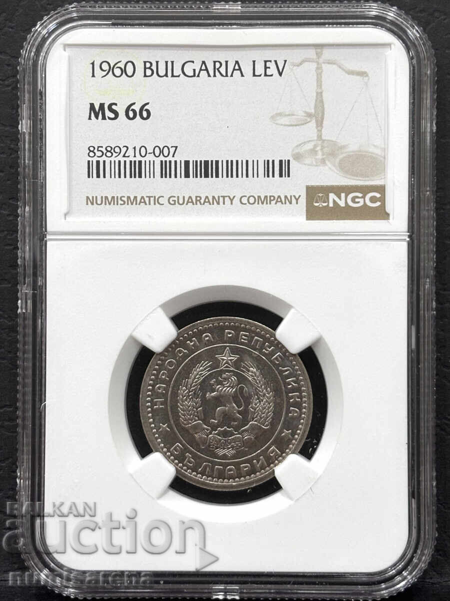 1 ЛЕВ 1960 NGC MS 66