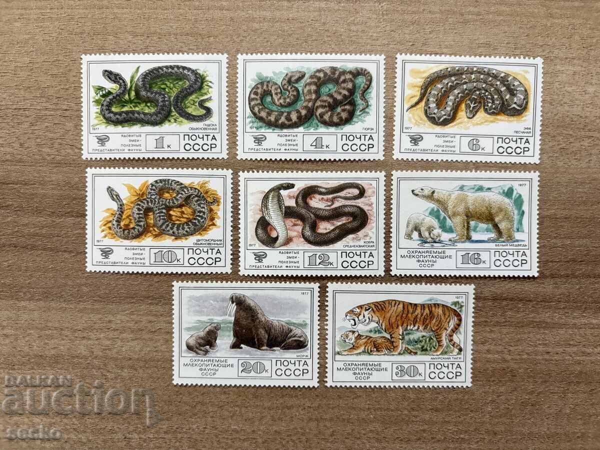URSS - Animale (1977) MNH