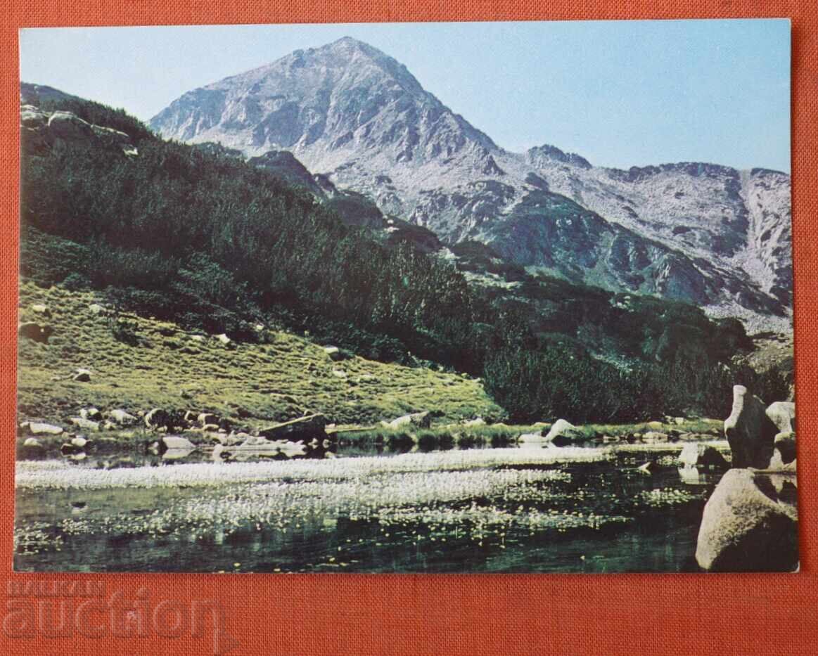 Pirin