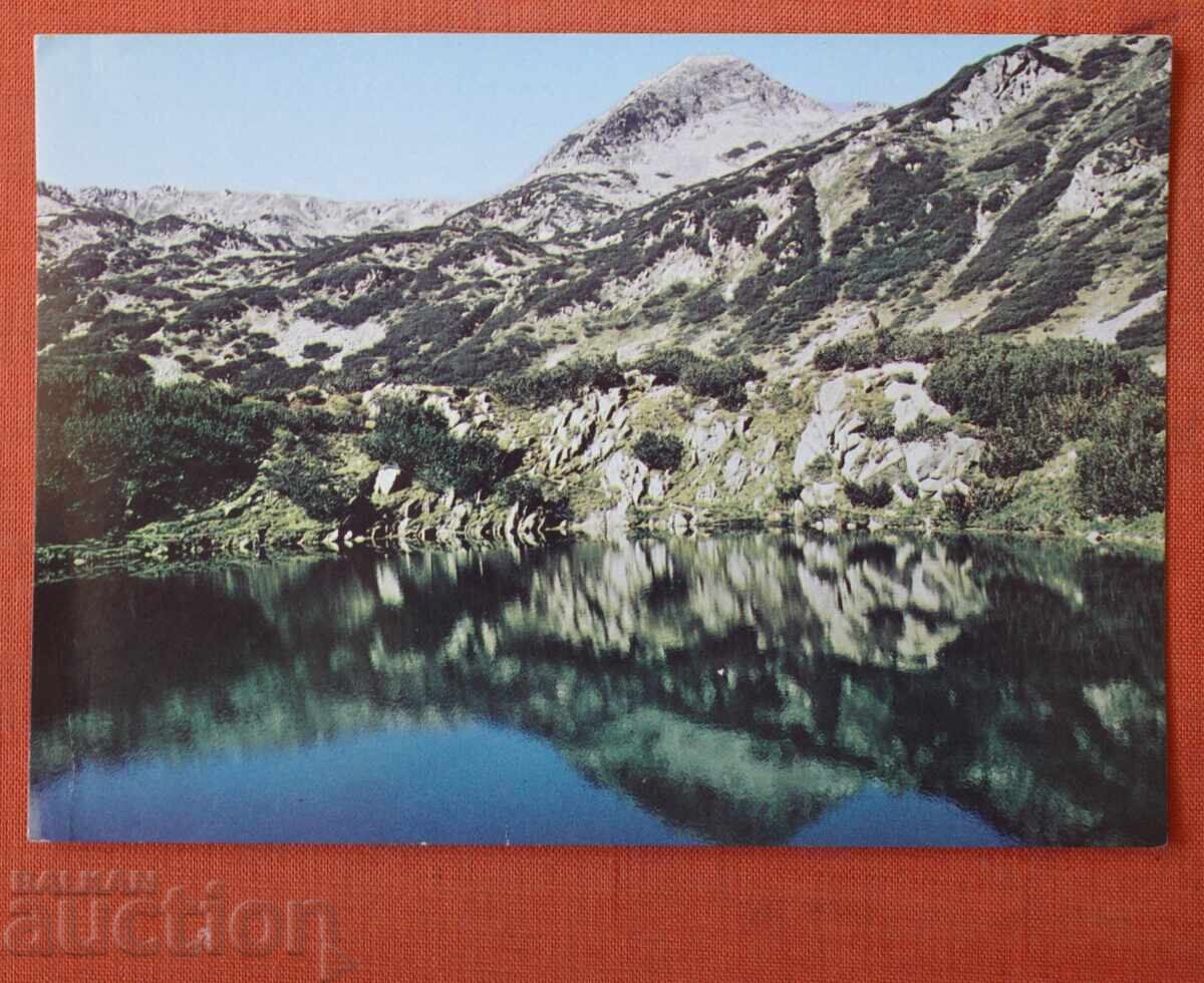 Pirin
