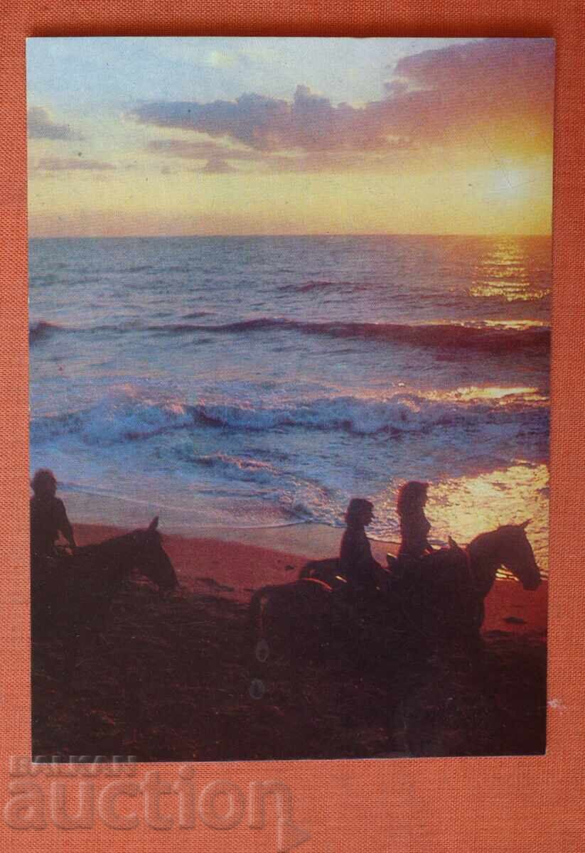 Βόλτα δίπλα στη θάλασσα