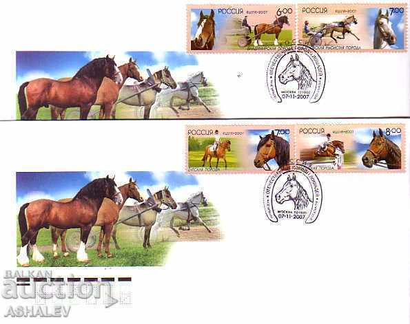 Росия 2007 Фауна – Коне 4м.- 2 FDC Росия 2007 Фауна – Коне 4м.- 2 FDC