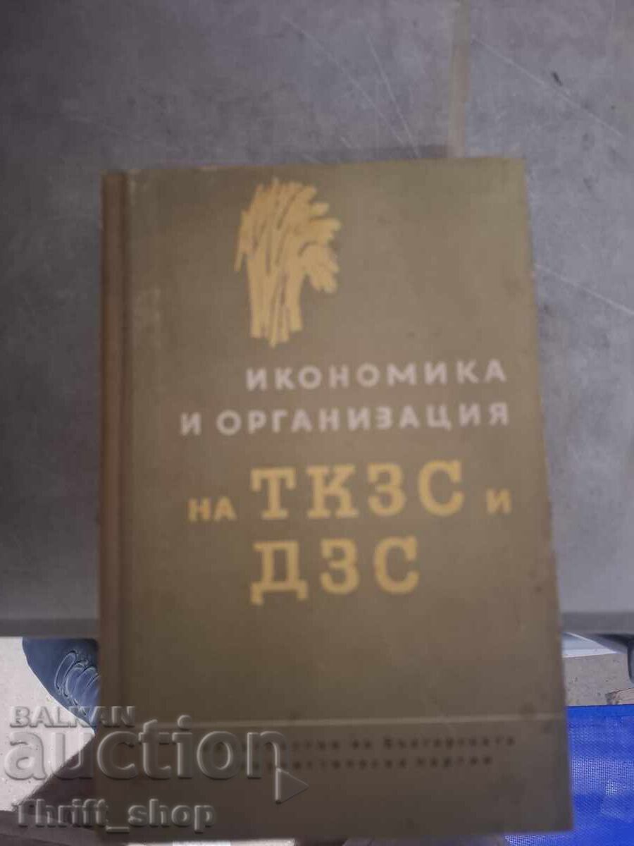 Economics and Organization of TKZS and DZS