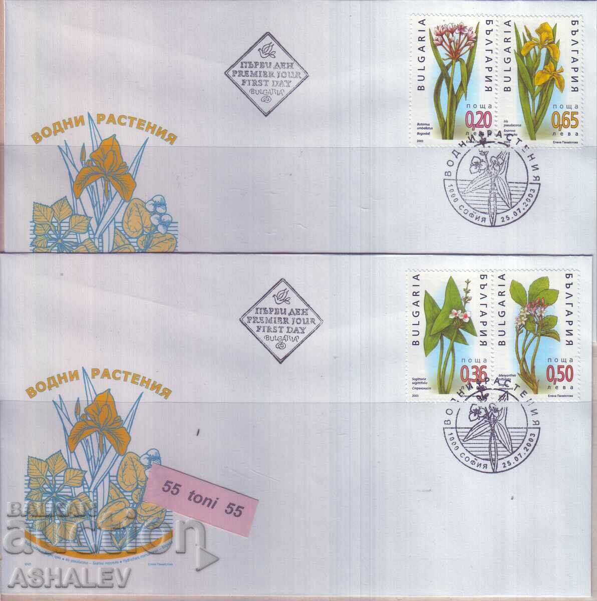 2003 Φλώρα Υδρόβια φυτά - 2 FDC Βουλγαρία 2003 Φλώρα Υδρόβια φυτά - 2 FDC Βουλγαρία