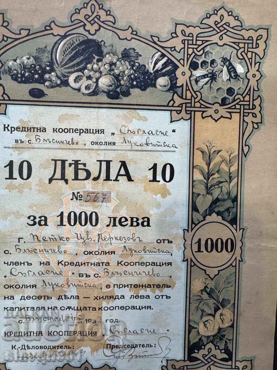 Акция 10 дяла по 10 с цена € 5.00 | 9.78 лв.