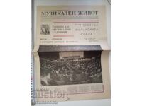 Musical Life Newspaper June 1, 1981
