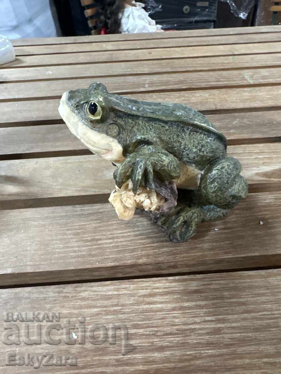 Broască cu preț € 15.00 | 29.34 BGN