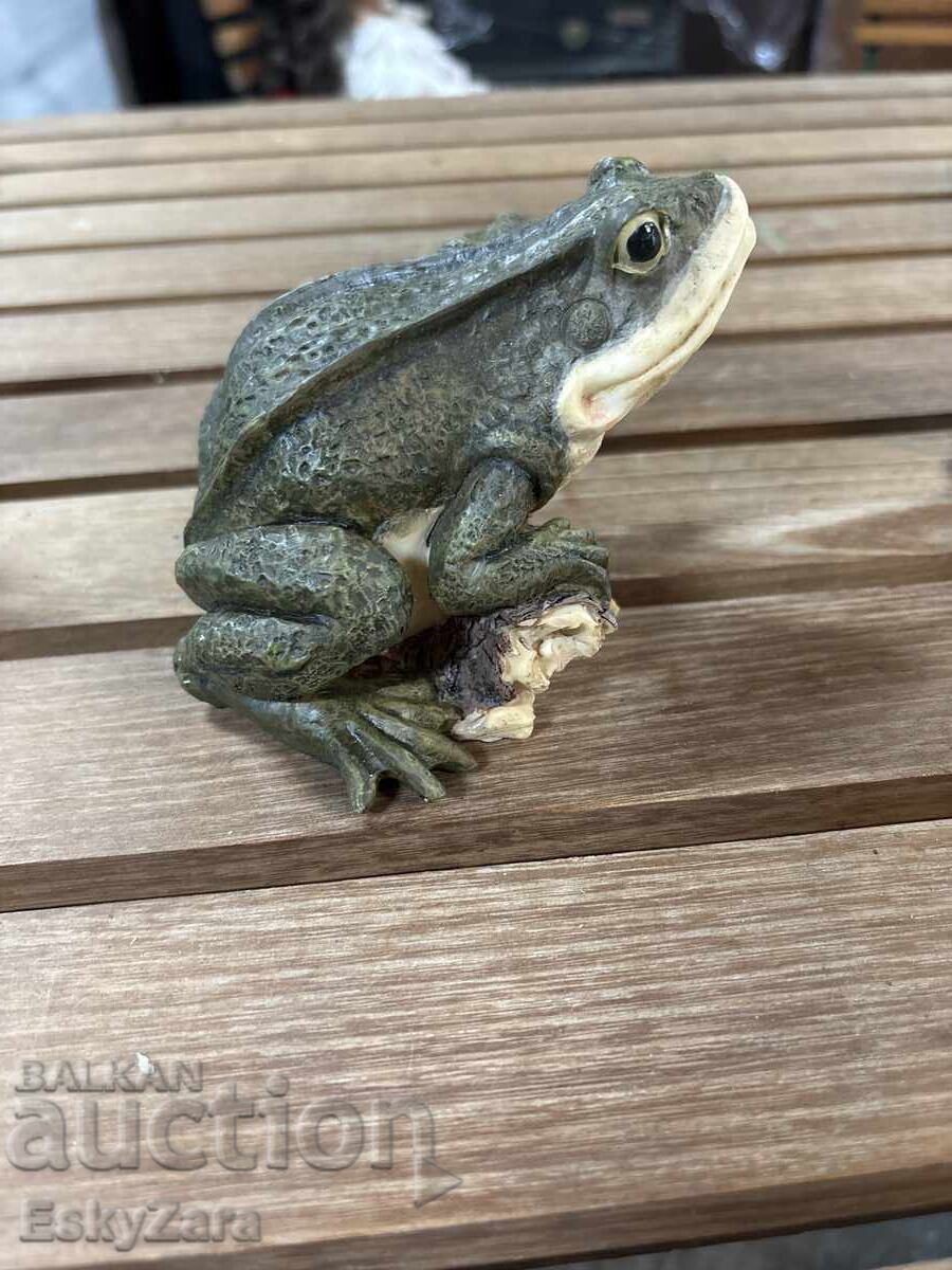 Licitație Broască