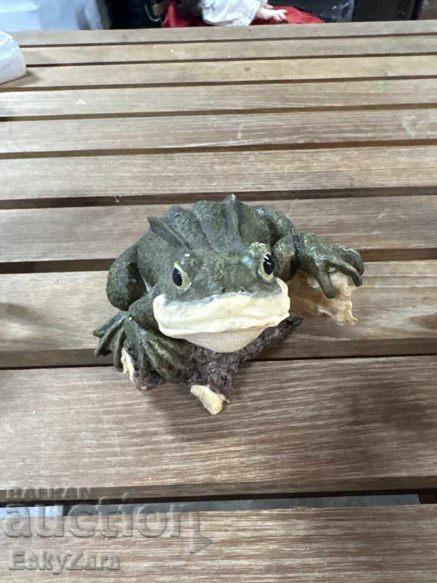 Livrarea Broască