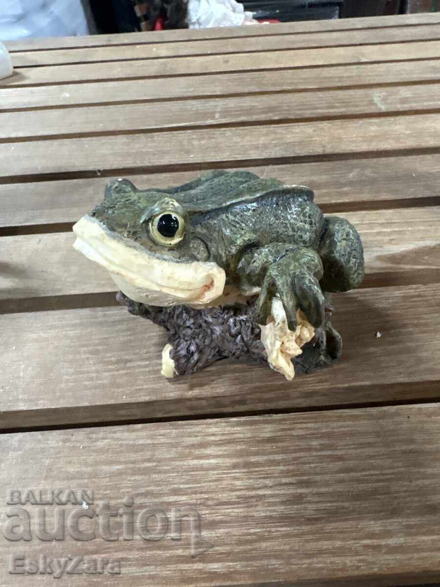 Broască
