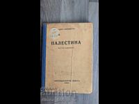 Палестина. Пътни бележки	Андрей Маркович
