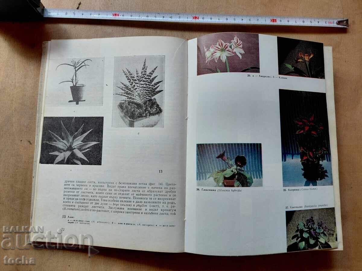 Книга за всеки ден и за всеки дом - 6 Книга за всеки ден и за всеки дом - 6