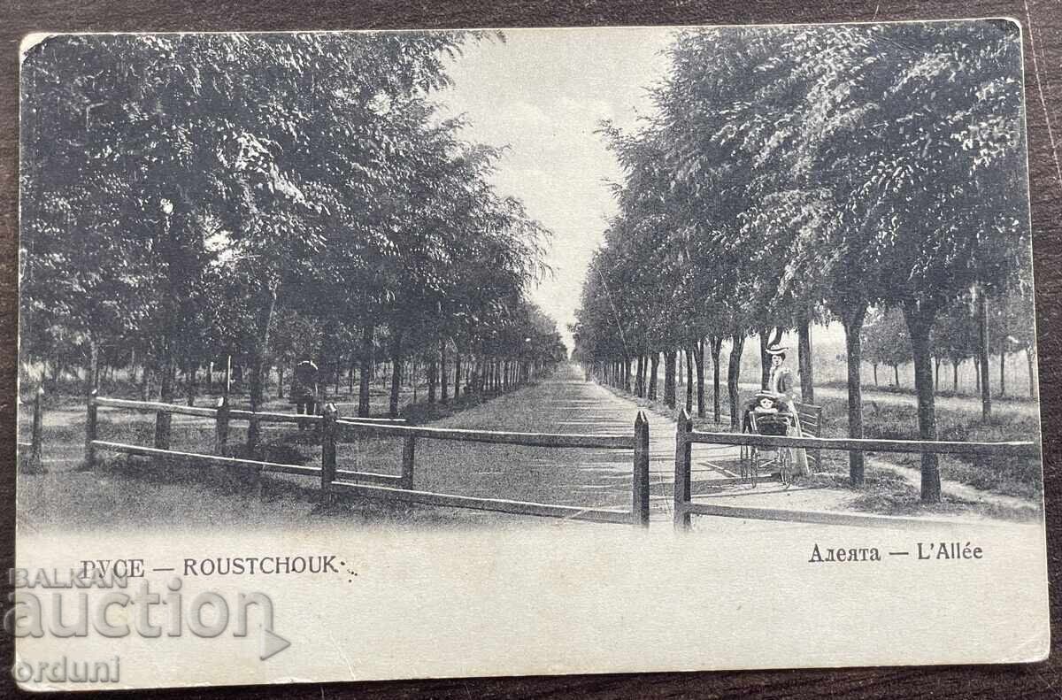6002 Kingdom of Bulgaria Ruse the alley circa 1910