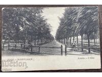 6002 Kingdom of Bulgaria Ruse the alley circa 1910