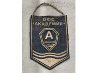 STEAG DFS AKADEMIK SVISHTOV