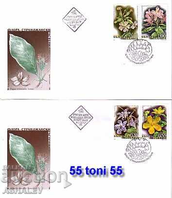 2006 Φλώρα Στραντζάνσκα φυτά 2 FDC Βουλγαρία 2006 Φλώρα Στραντζάνσκα φυτά 2 FDC Βουλγαρία