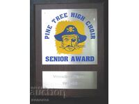 Award plaque from a college in Texas, USA