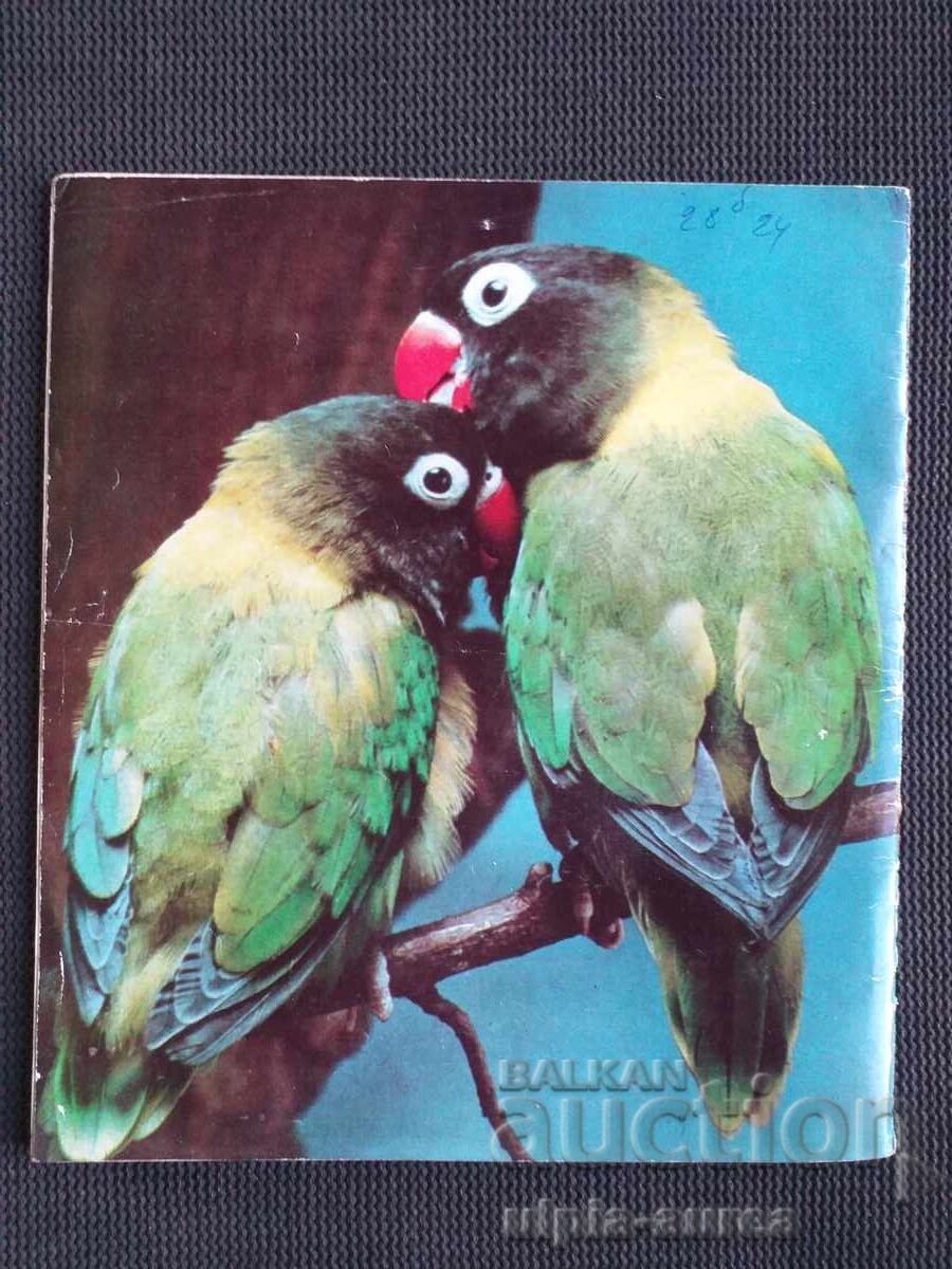 1974 COSMOS with price € 0.55 | 1.08 BGN