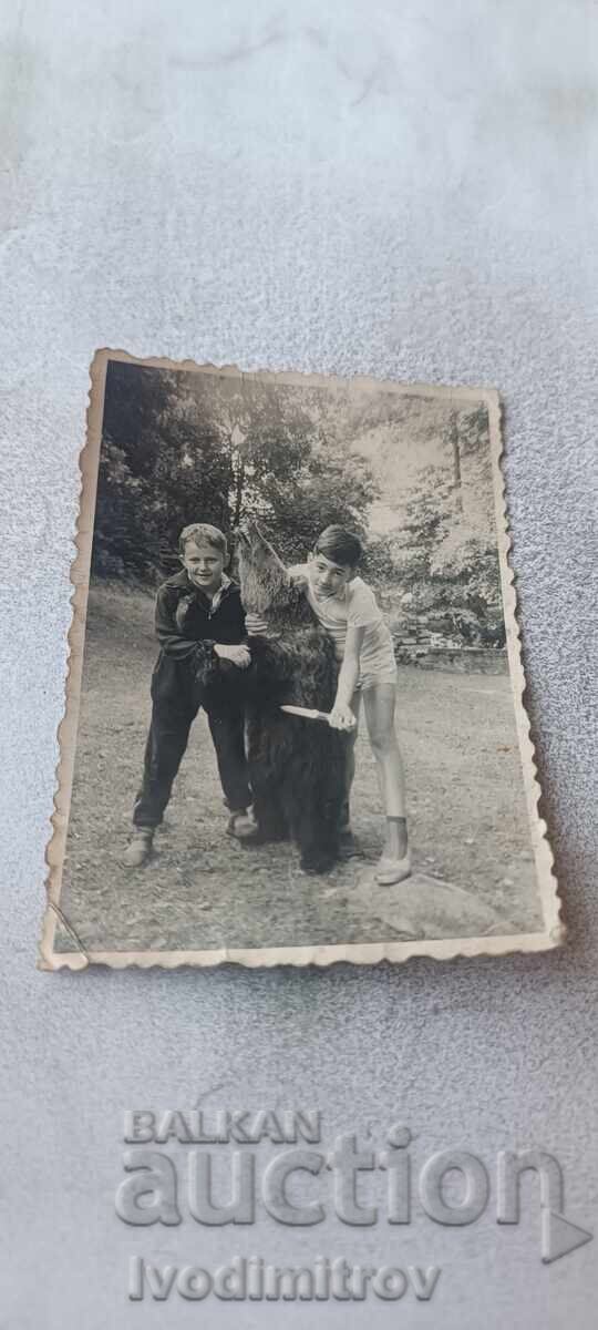 Снимка Две момчета с препарирана мечка в парка 1961 Снимка Две момчета с препарирана мечка в парка 1961