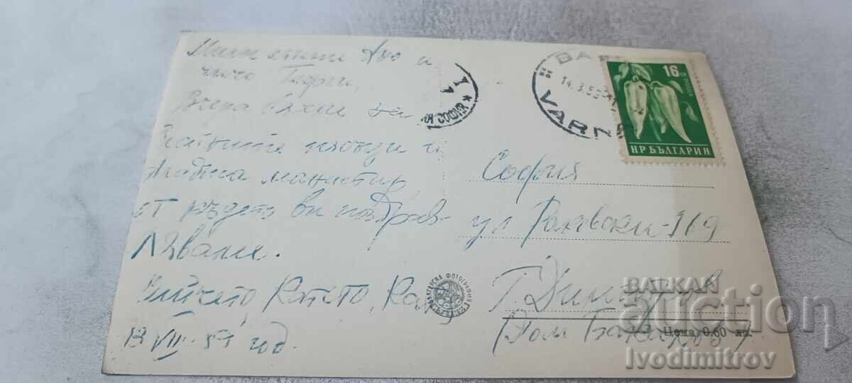Ταχυδρομικό δελτάριο Βάρνα Μονή Αλατζά 1959 με τιμή € 0.86 | 1.68 BGN Ταχυδρομικό δελτάριο Βάρνα Μονή Αλατζά 1959 με τιμή € 0.86 | 1.68 BGN