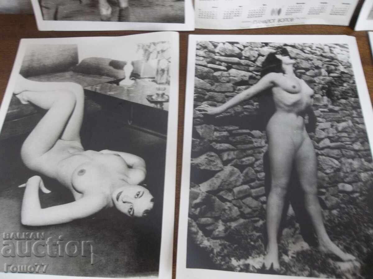 Imagini - 5 Imagini - 5