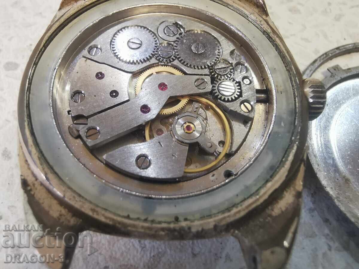 GOLDEN GLORY - 6