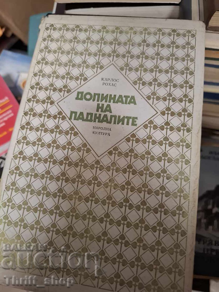 Долината на падналите Карлос Рохас Долината на падналите Карлос Рохас
