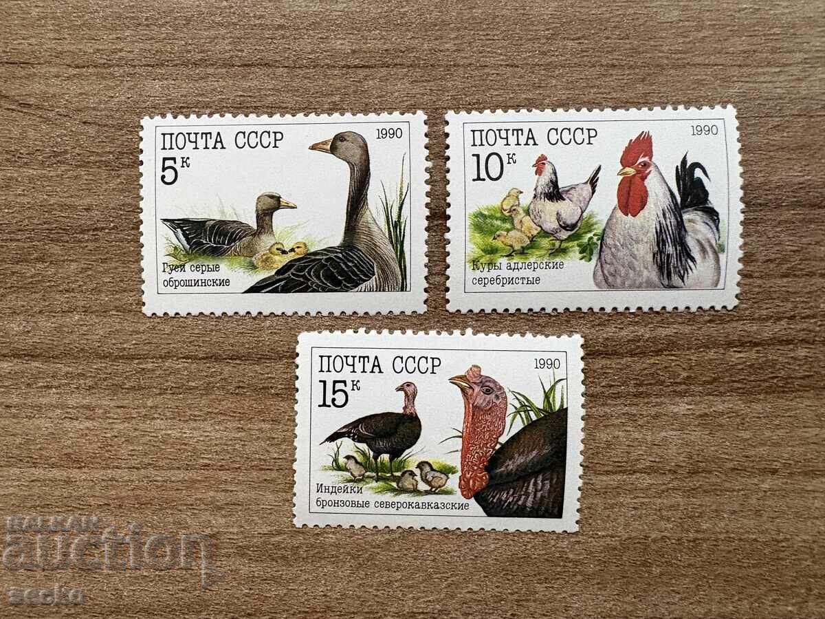 USSR - Poultry (1990) MNH