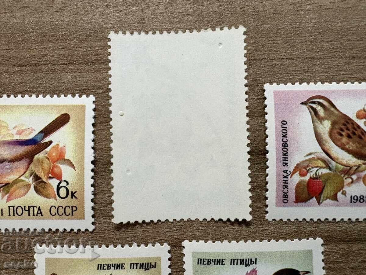 СССР - Пойни птици (1981) MNH с цена € 0.70 | 1.37 лв. СССР - Пойни птици (1981) MNH с цена € 0.70 | 1.37 лв.
