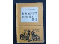 Στρατιωτική εξέγερση 1918