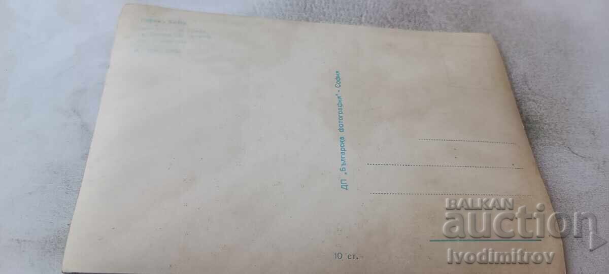 Пощенска картичка София Центърът на града 1960 с цена € 4.38 | 8.57 лв. Пощенска картичка София Центърът на града 1960 с цена € 4.38 | 8.57 лв.