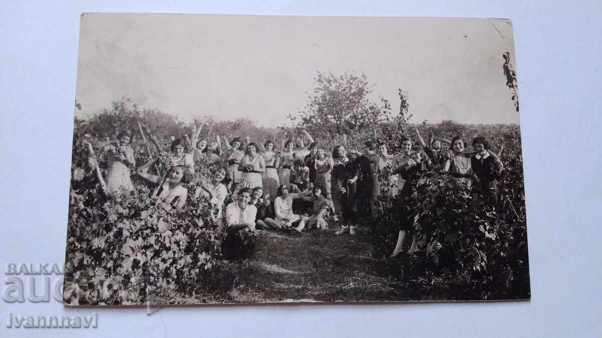 Анхиало гроздобер 1932 г. Стара картичка Анхиало гроздобер 1932 г. Стара картичка