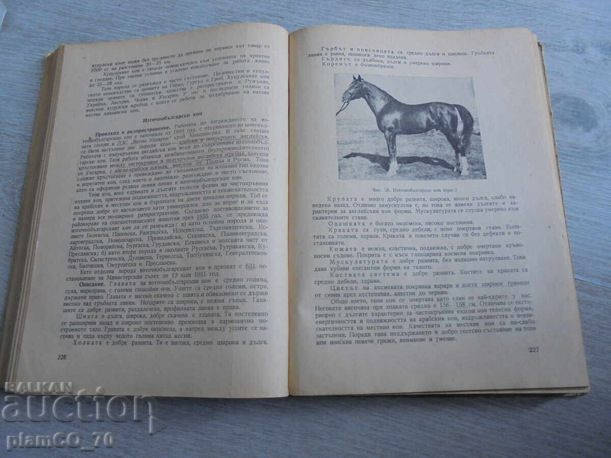 Δημοπρασία №*8697 Παλαιό βιβλίο «Κτηνοτροφία» Β. Γκρούεφ, Zemizdat, 1956 Δημοπρασία №*8697 Παλαιό βιβλίο «Κτηνοτροφία» Β. Γκρούεφ, Zemizdat, 1956