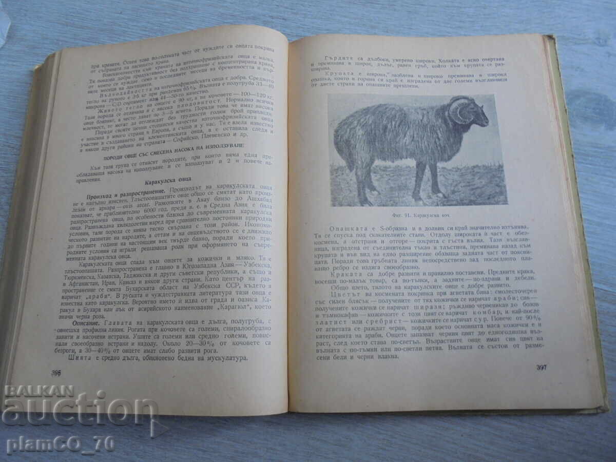 Παράδοση №*8697 Παλαιό βιβλίο «Κτηνοτροφία» Β. Γκρούεφ, Zemizdat, 1956 Παράδοση №*8697 Παλαιό βιβλίο «Κτηνοτροφία» Β. Γκρούεφ, Zemizdat, 1956