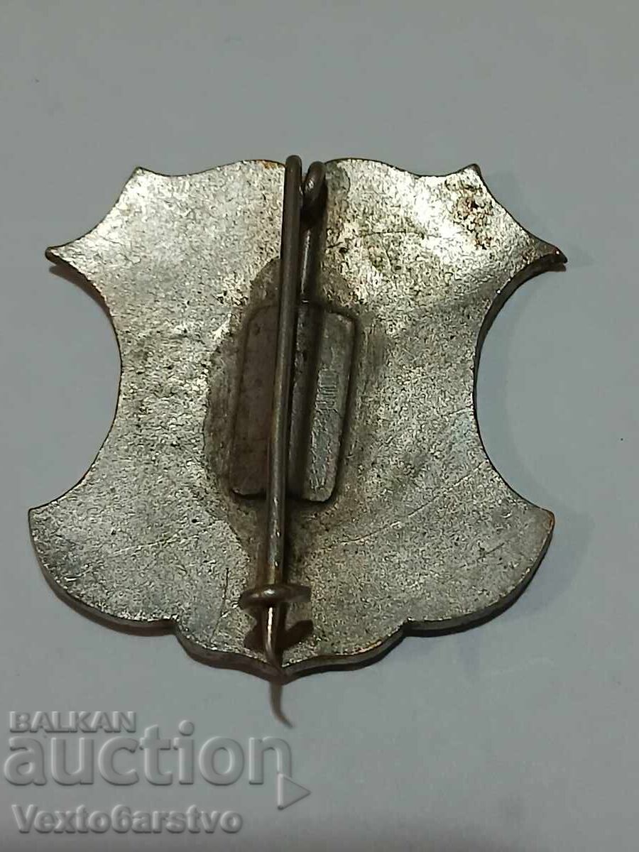 Delivery of BADGE-YUNASHKA -MEMORIAL 1902 -BZC Delivery of BADGE-YUNASHKA -MEMORIAL 1902 -BZC
