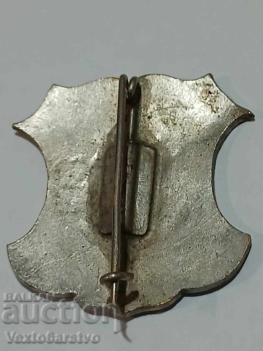 BADGE-YUNASHKA -MEMORIAL 1902 -BZC - 6 BADGE-YUNASHKA -MEMORIAL 1902 -BZC - 6