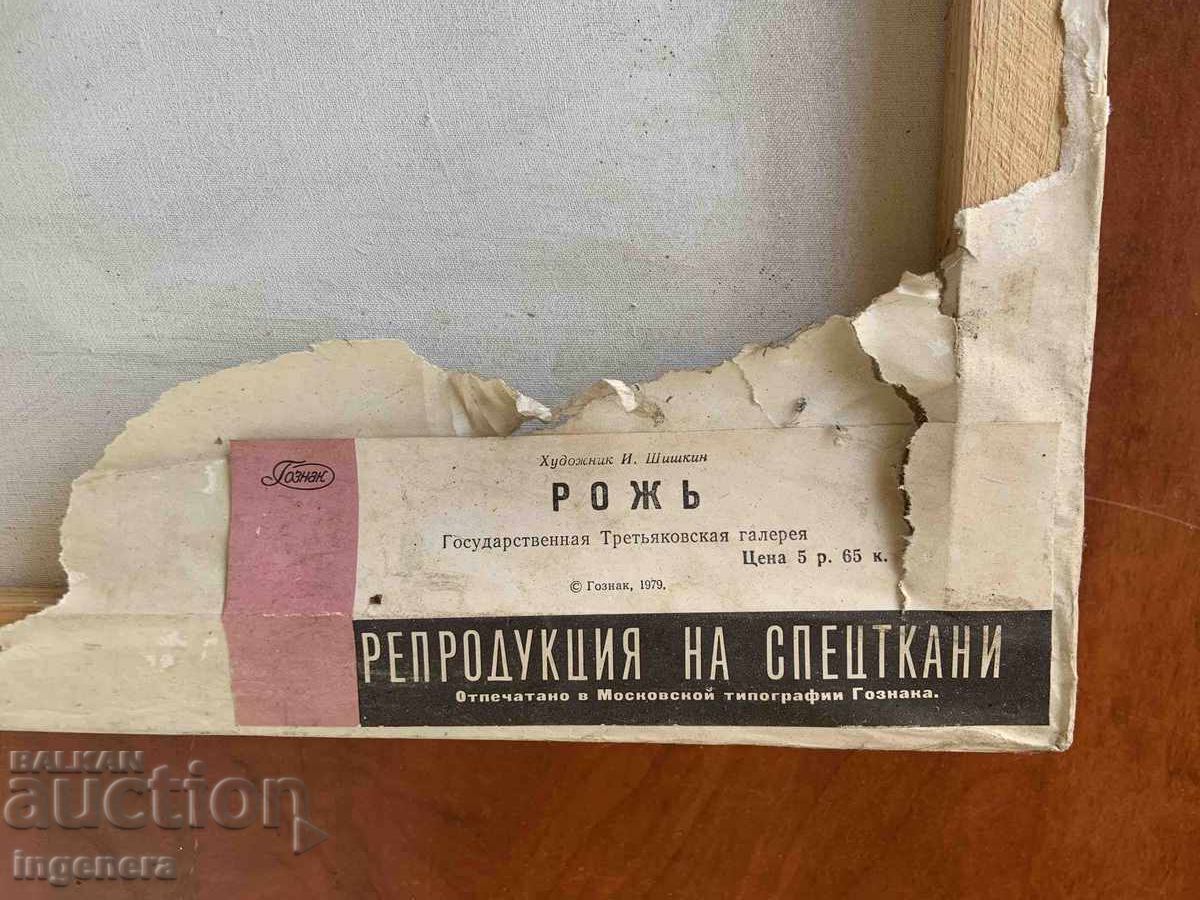 ANTIKVARNA REPRODUKTSIYA NA PLATNO OT I. SHISHKIN - RŬZH - ETIKET - 7 ANTIKVARNA REPRODUKTSIYA NA PLATNO OT I. SHISHKIN - RŬZH - ETIKET - 7