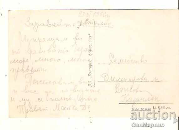 Картичка България Варна Летовище Варна Изглед 1* с цена € 1.40 | 2.74 лв. Картичка България Варна Летовище Варна Изглед 1* с цена € 1.40 | 2.74 лв.