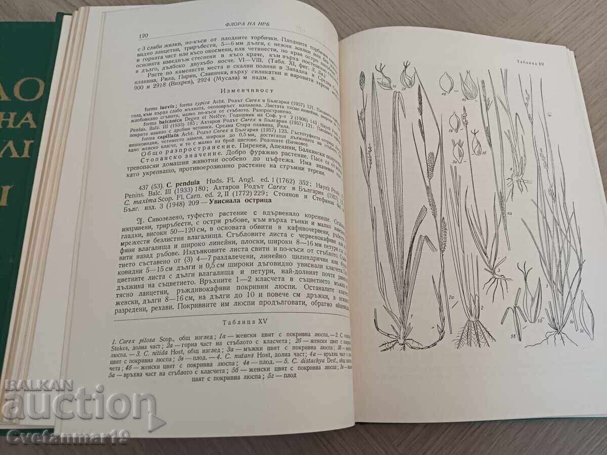Flora of the People's Republic of Bulgaria Vol. 1-2 with price € 15.00 | 29.34 BGN