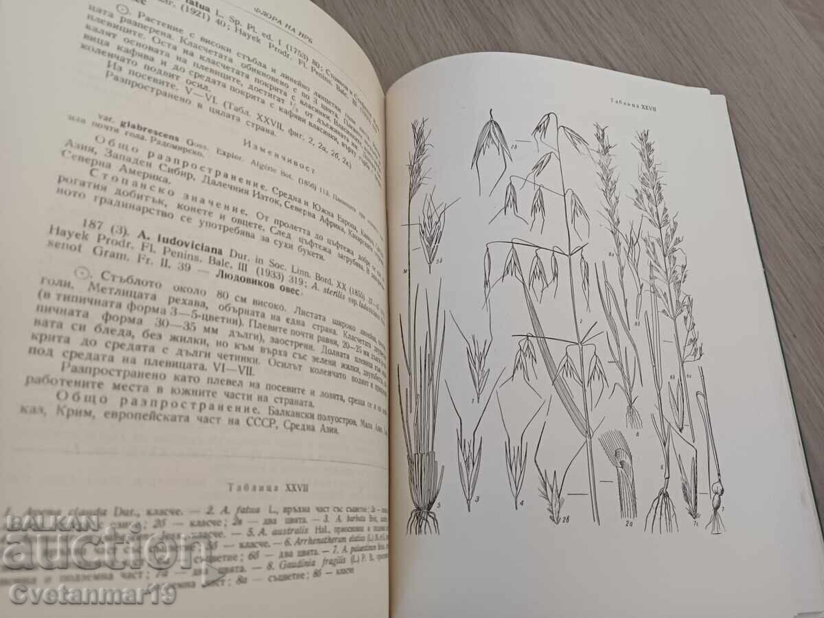Delivery of Flora of the People's Republic of Bulgaria Vol. 1-2