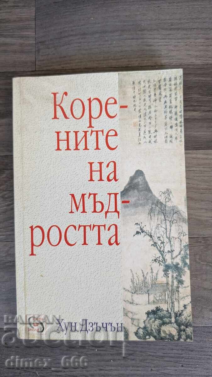 Rădăcinile înțelepciunii, Hong Zicheng